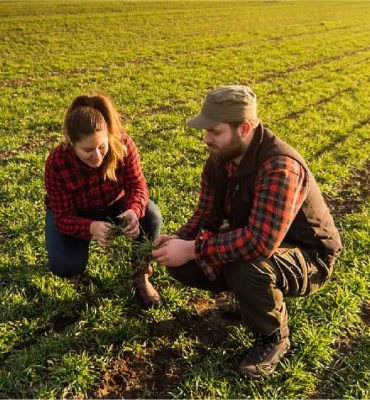 Çiftçi destek tarım sigortası Çiftçiler için Devlet Destekli Tarım Sigortası